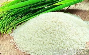 绿色大米爆料方法视频讲解,揭秘视频讲解中的种植奥秘 第1张 绿色大米爆料方法视频讲解,揭秘视频讲解中的种植奥秘 第1张